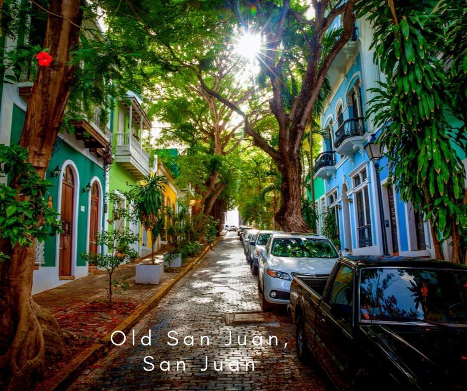 Bee Inn Puerto Rico Charming Urban Apartment In San Juan Buitenkant foto